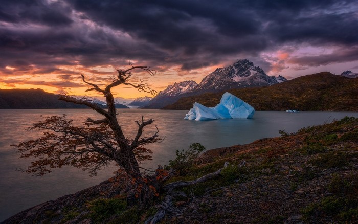 Iceberg in a lake at sunset with mountains and tree