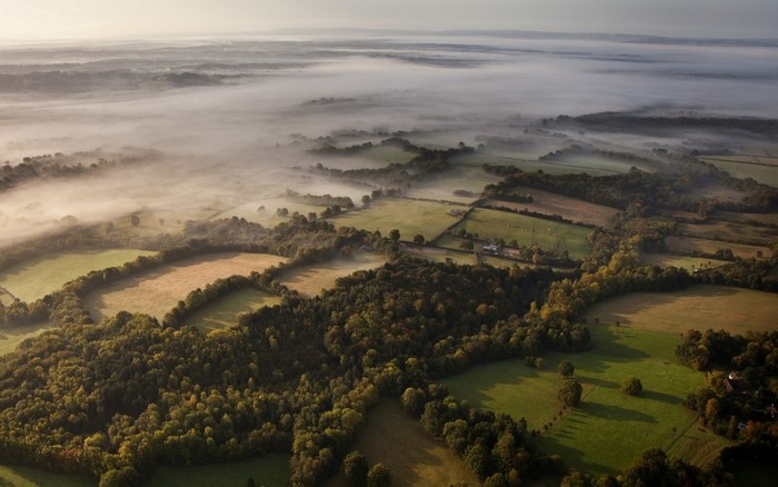 Aerial view of misty countryside landscape with forests and fields
