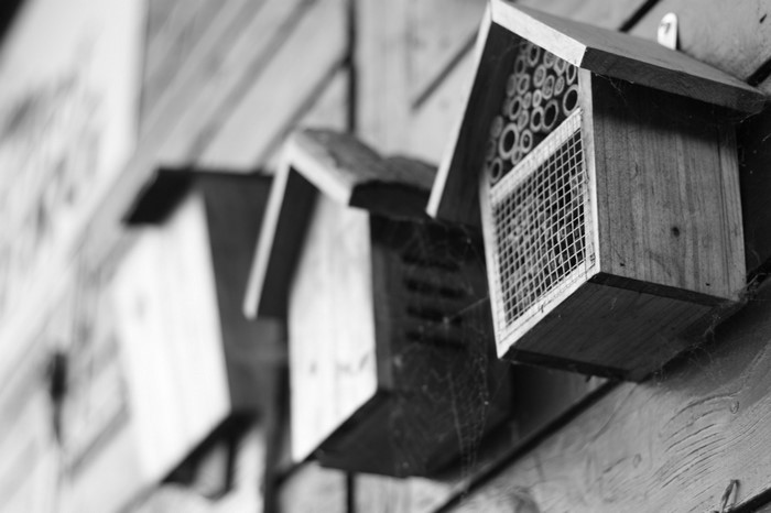 Black and white photography of wooden insect hotels