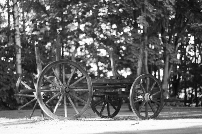 Old wooden wagon with large wheels in a forest