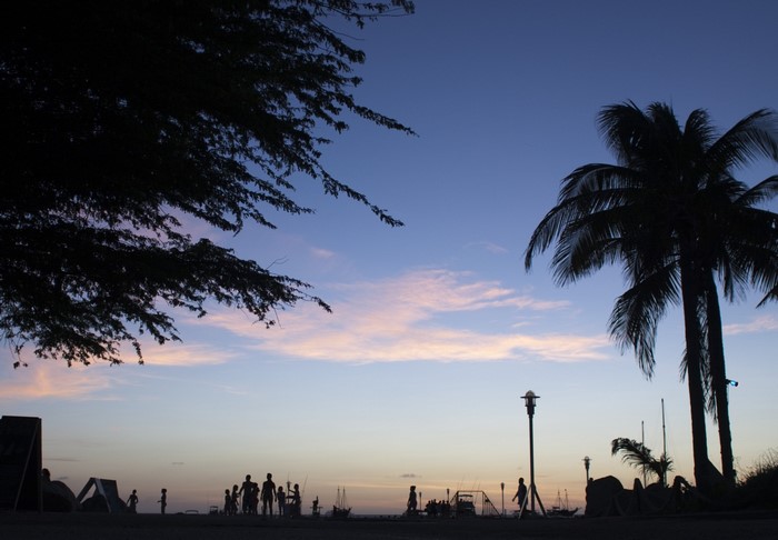Silhouettes of people and palm trees at sunset