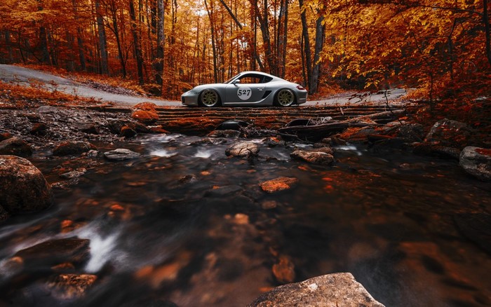 Silver Porsche Cayman on a forest road in autumn