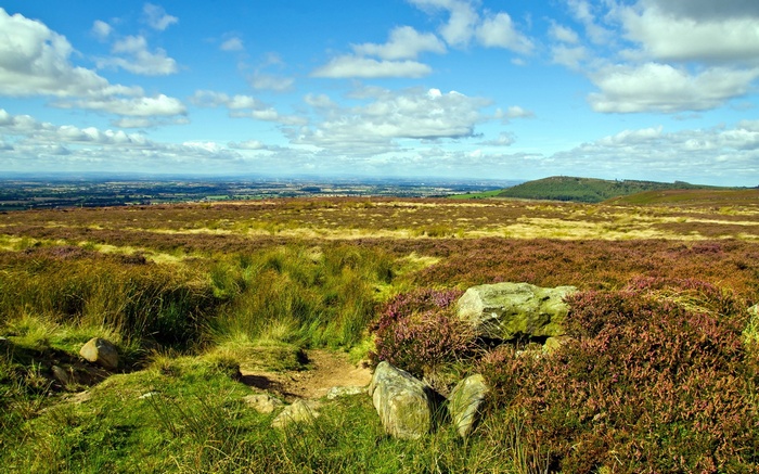 Heather moorland with distant town and hills