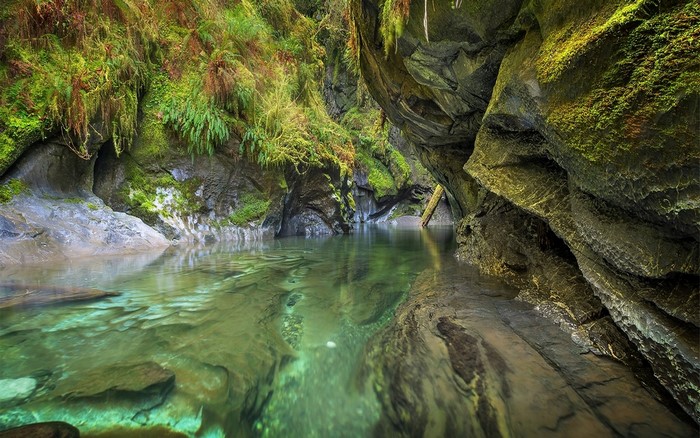 Moss-covered canyon with a clear emerald river