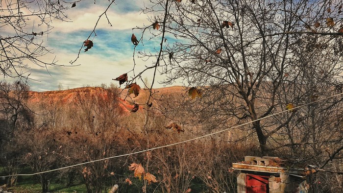Bare trees and red hills under a cloudy sky