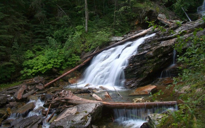 Waterfall cascading over rocks in a forest