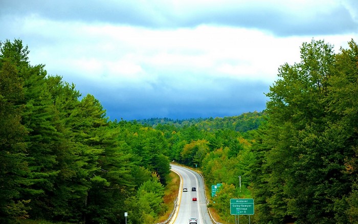 Highway through a forest in Vermont