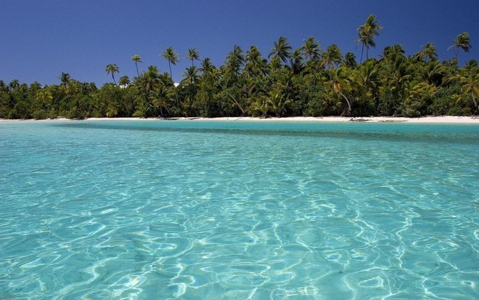 Tropical island with palm trees and clear turquoise water