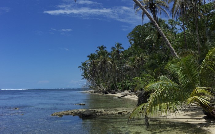 Tropical beach with palm trees and clear ocean water
