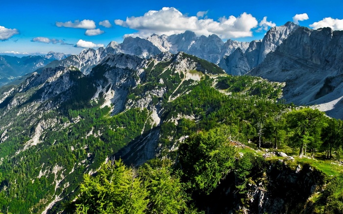 Mountain range with green forests and blue sky