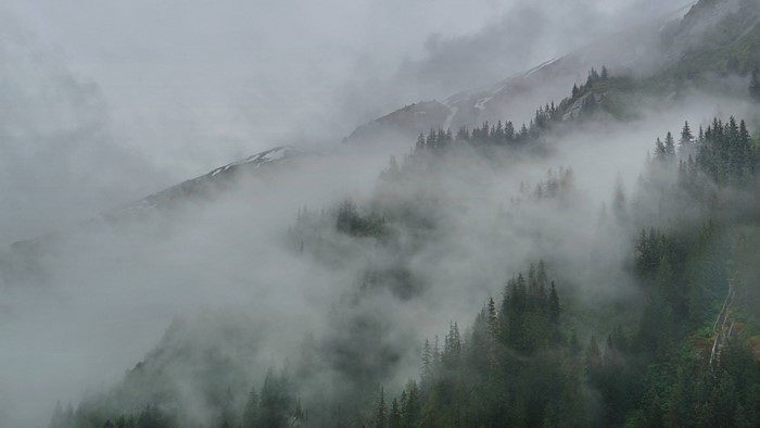 Misty mountains with evergreen trees and snow