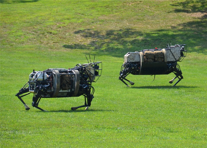 Two LS3 robotic mules on a grassy field