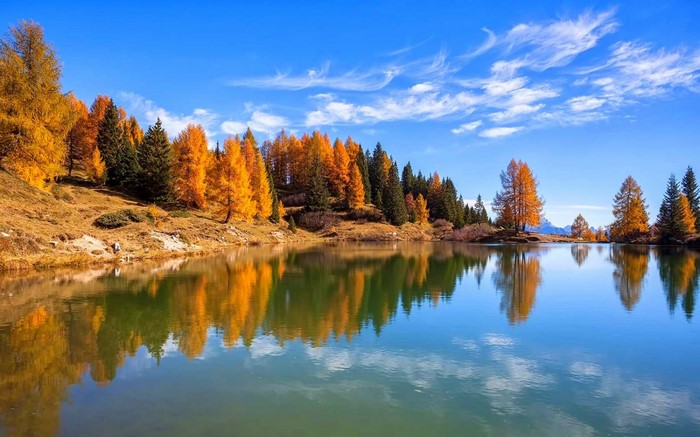 trees, landscape, forest, fall, Italy, lake, water, nature, reflection ...