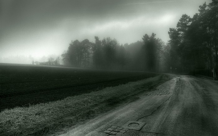 Misty road through a forest with a field