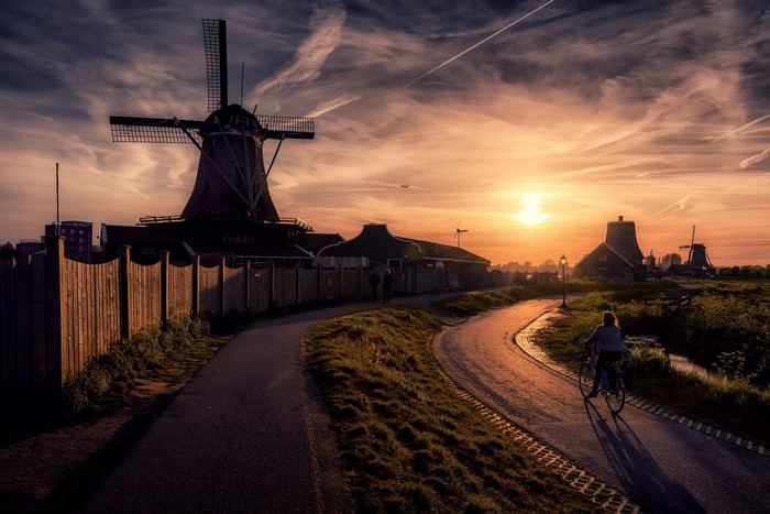 Sunset over Dutch windmills with a cyclist