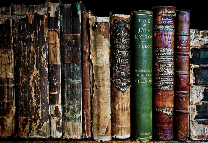Collection of antique books on a shelf