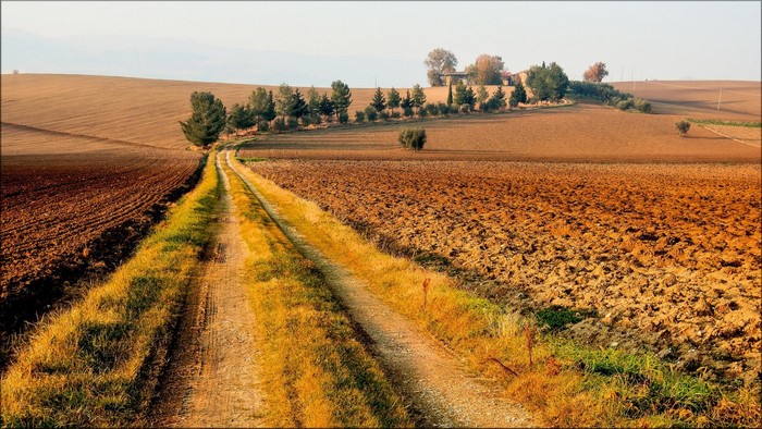 Dirt road through cultivated fields in autumn landscape