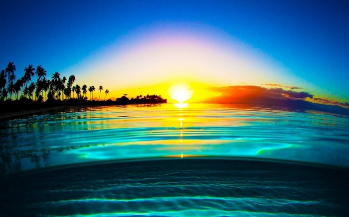 Sunset over the ocean with palm trees