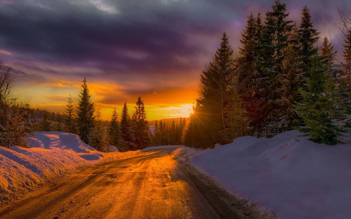Norway Winter Road at Sunset with Snowy Forest
