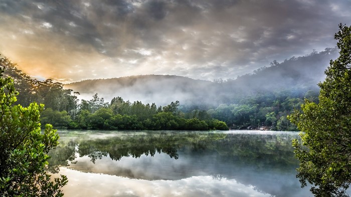Misty Morning Reflection on Berowra Creek, Australia