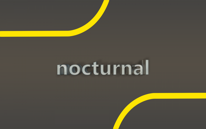 The word "nocturnal" in 3D typography with yellow curves