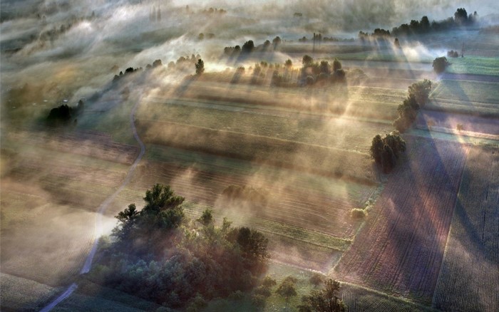 Aerial view of misty fields at sunrise with sunbeams