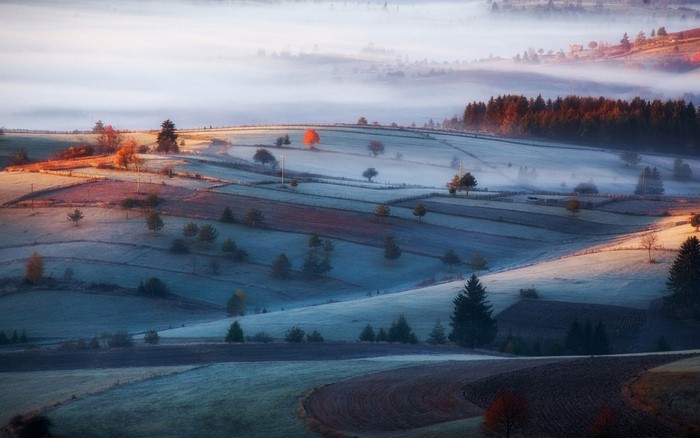 Misty rolling hills with frost at sunrise