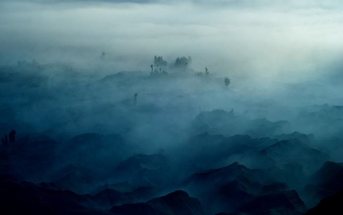 Misty mountain landscape with trees