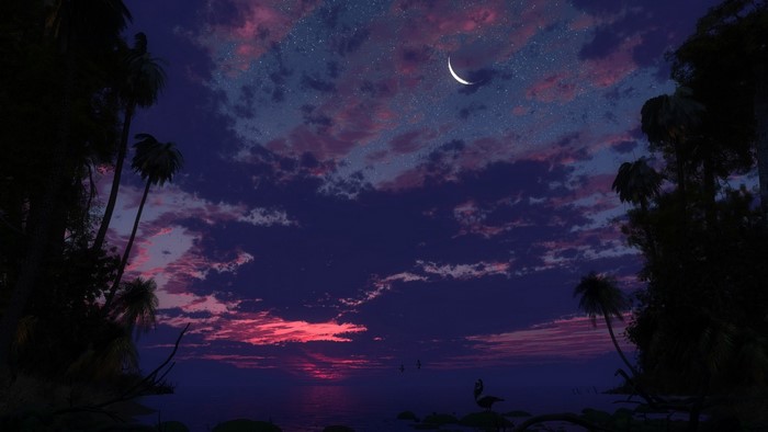 Digital art of a tropical night sky with a crescent moon