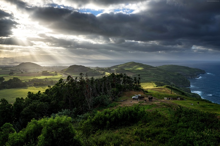 Sunlight over Azores hills with trees and ocean