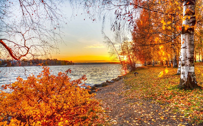 Autumn sunset over a lake with trees and a path