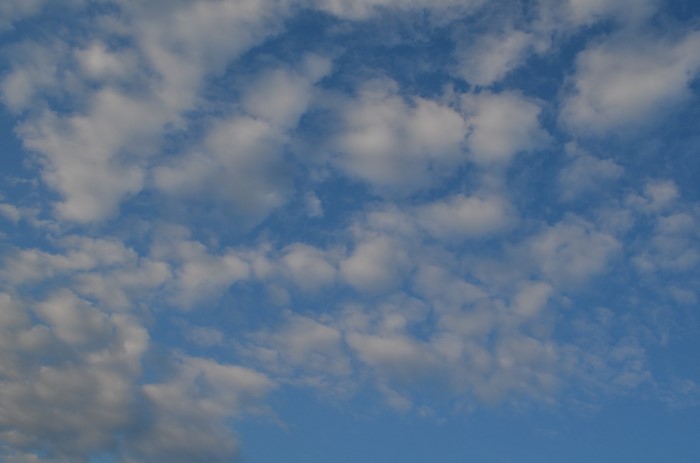 Blue sky with scattered cumulus clouds