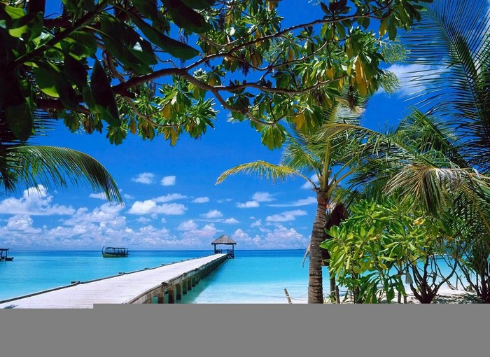 Tropical island with a wooden pier and gazebo