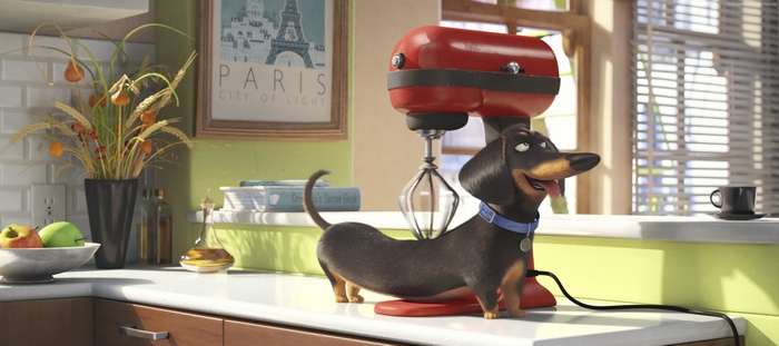 Max from The Secret Life of Pets in a kitchen