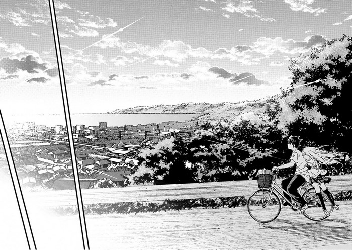 Two people riding a bicycle with a city and ocean in the background