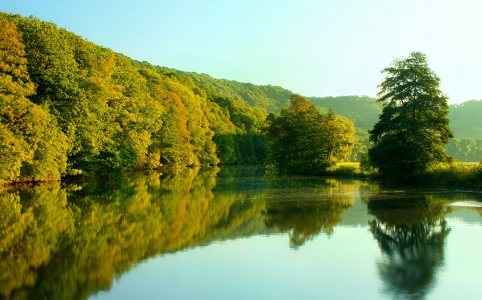 Trees reflected in a calm lake at sunrise