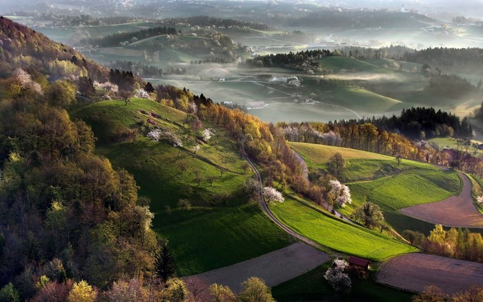Rolling hills and mist in a rural valley during spring
