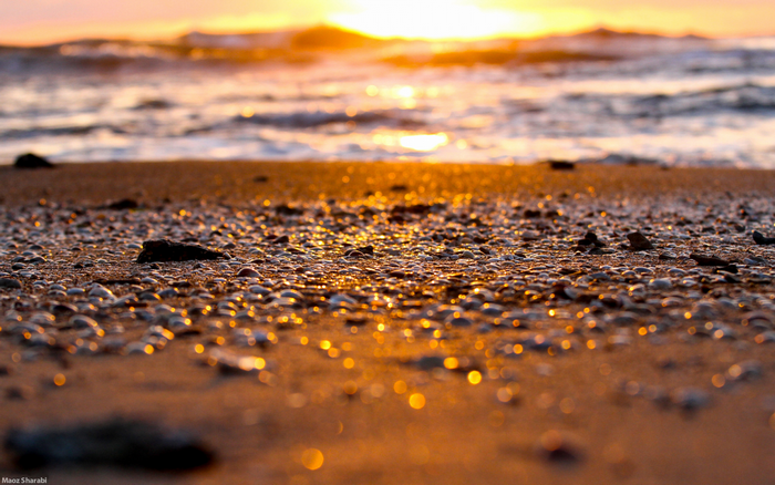 Sunlight Landscape Depth Of Field Sunset Sea Water Rock Nature