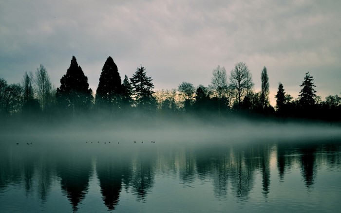 Misty lake with trees reflecting at sunrise