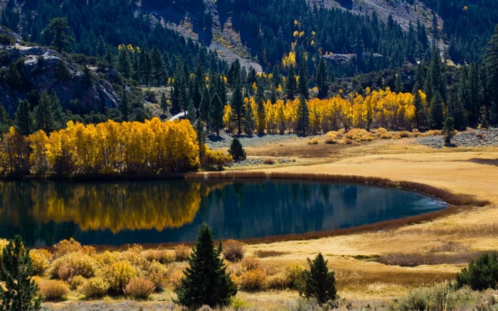 Autumn forest reflected in a mountain lake