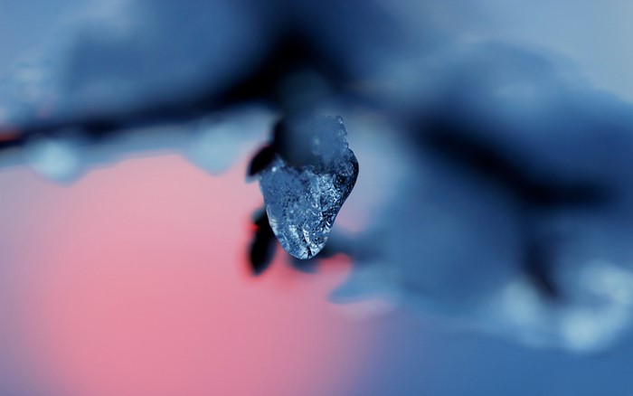 Close up of ice on a branch with bokeh background