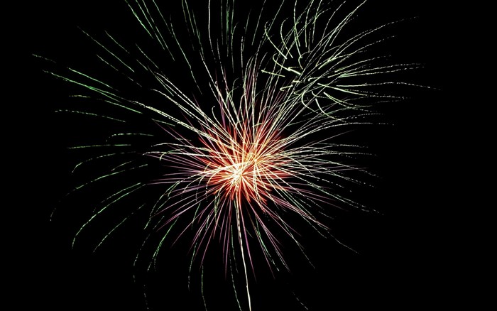 Fireworks exploding in the night sky
