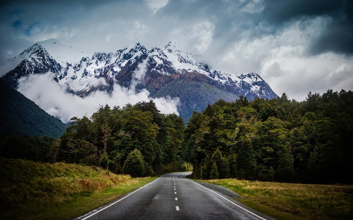 Winding road through forest towards snow-capped mountains