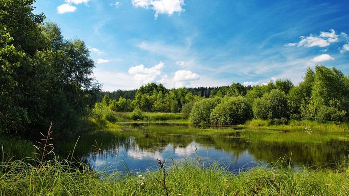 A tranquil lake surrounded by lush green trees under a blue sky with clouds.