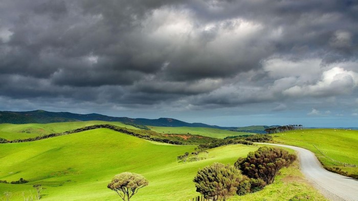 Winding road through rolling green hills under a cloudy sky