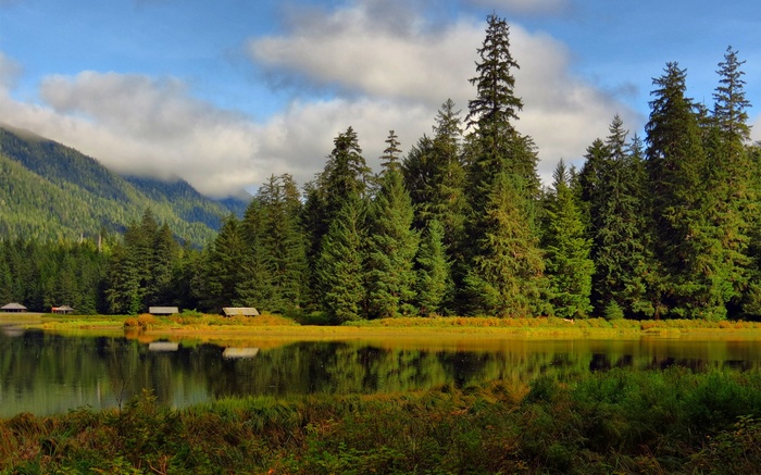 Lake with cabins and evergreen forest