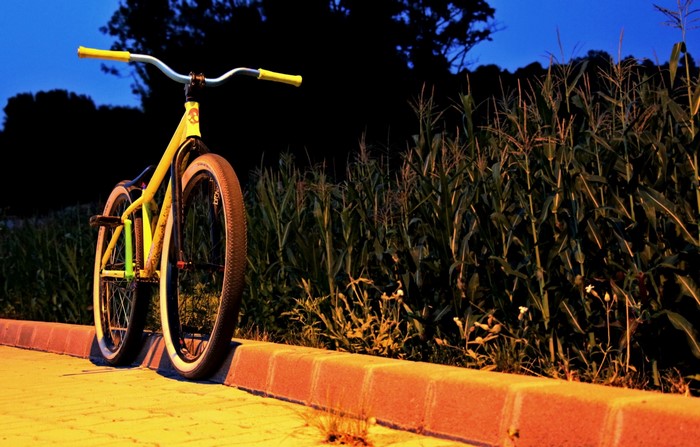 Yellow bicycle parked by cornfield at dusk