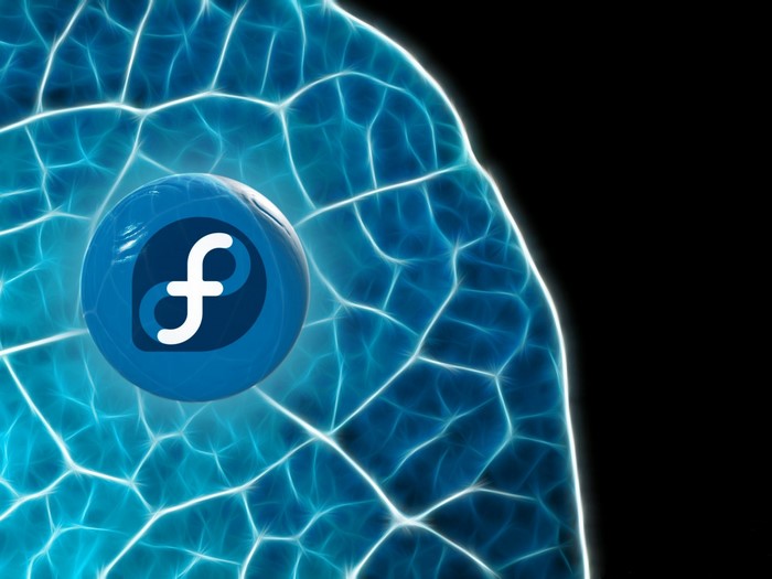 Fedora logo inside a stylized brain structure
