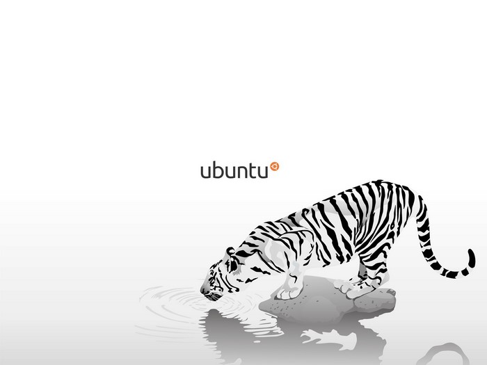Ubuntu logo with a white tiger drinking water