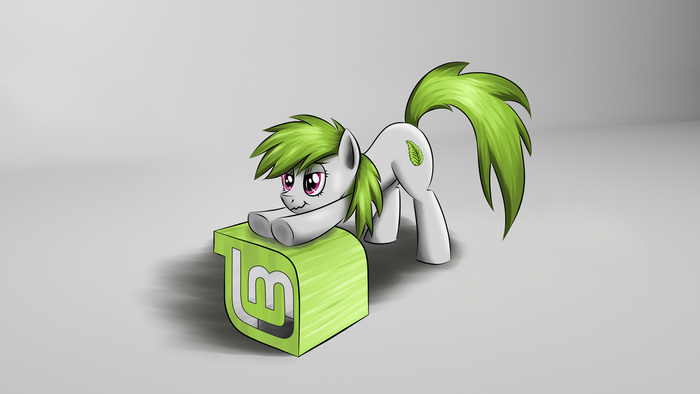 Pony with Linux Mint logo